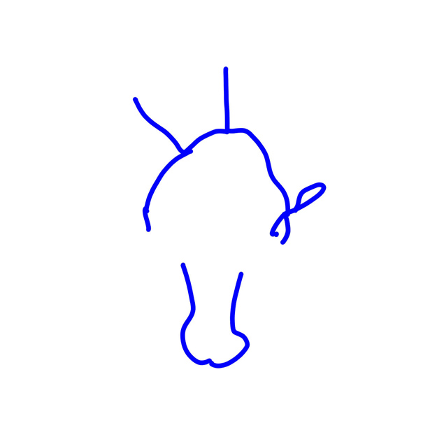 Bull's Head Line Drawing, Group D